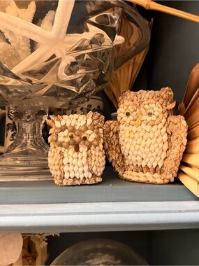 Handcrafted Natural Shell Owl Figurines - Set of 2, Cream